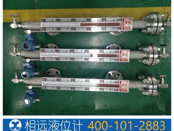 西安高壓磁翻板液位計(jì)-64公斤/100公斤專業(yè)訂做