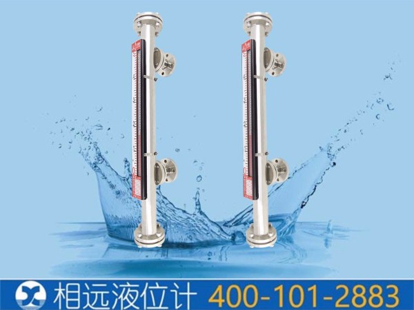 西安相遠(yuǎn)防腐型襯四氟液位計(jì)